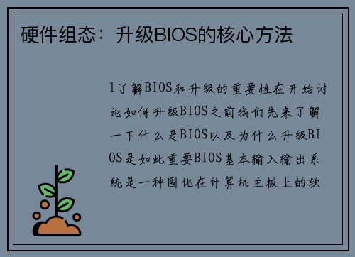 硬件组态：升级BIOS的核心方法