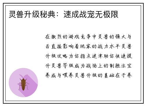 灵兽升级秘典：速成战宠无极限